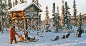 Two people and a dogsled