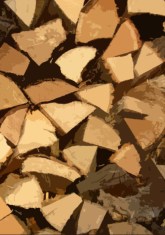 a pile of firewood