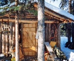 a small slab log cabin