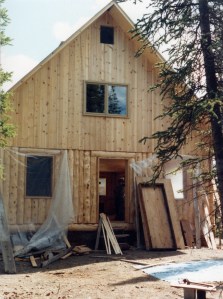 unfinished log home